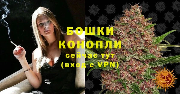 СК Гусь-Хрустальный