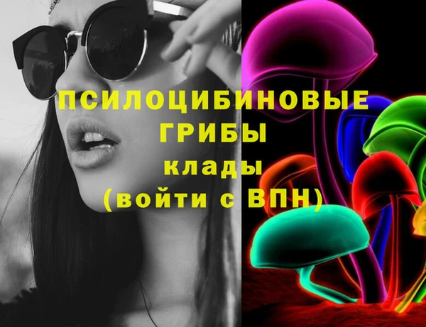 СК Гусь-Хрустальный