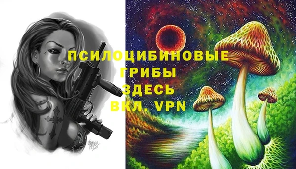 мдпв Гусиноозёрск
