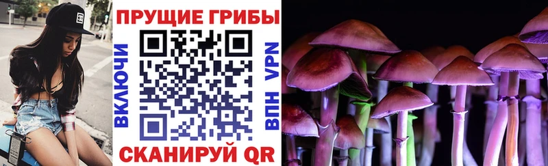 Галлюциногенные грибы Cubensis  Купить где  Харовск 